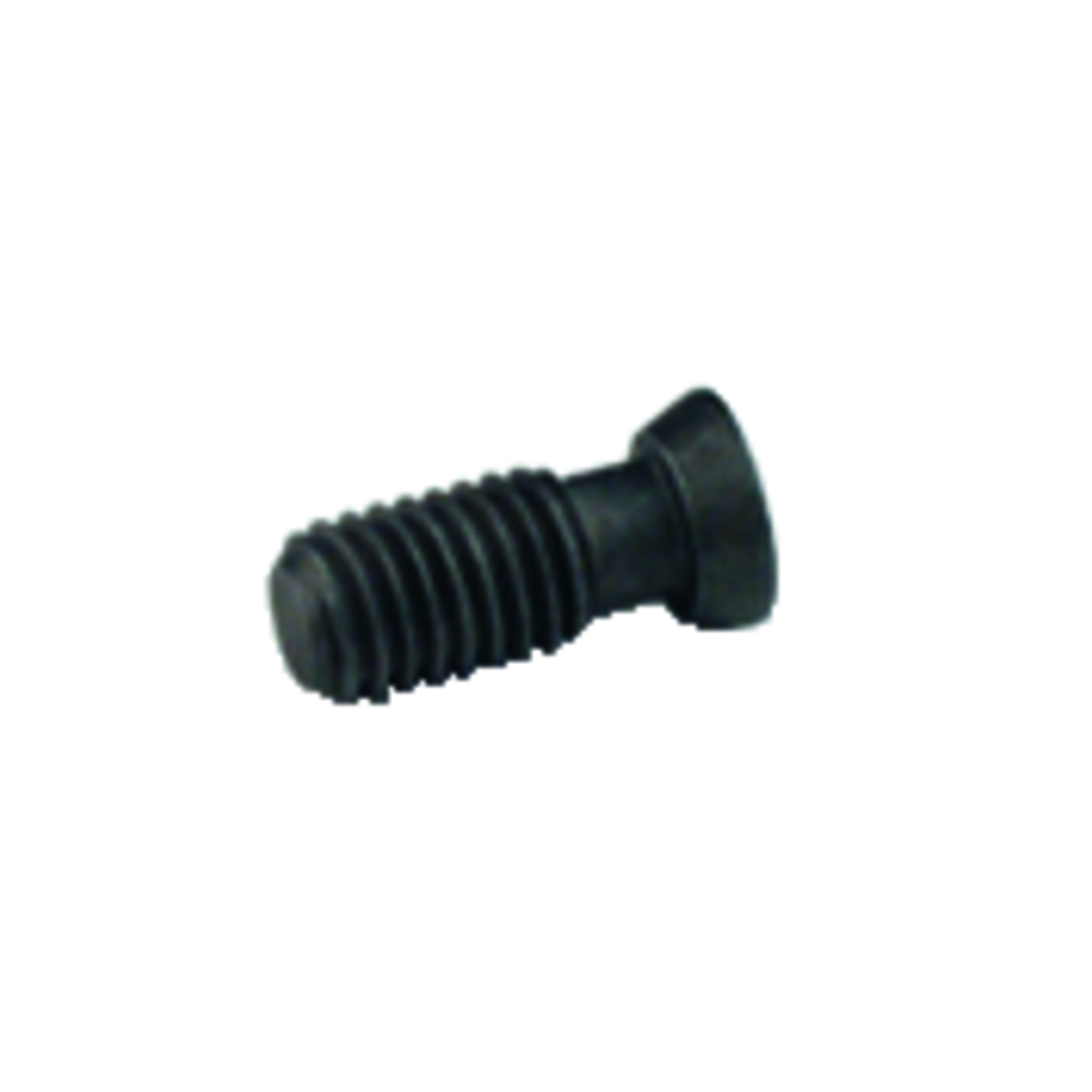 Schraube Torx Plus 7619-IP25-1